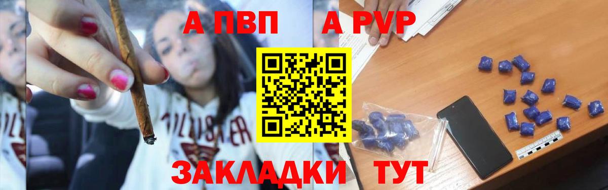 A-PVP СК КРИС Калач-на-Дону