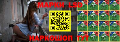 мяу мяу мука Ачхой-Мартан