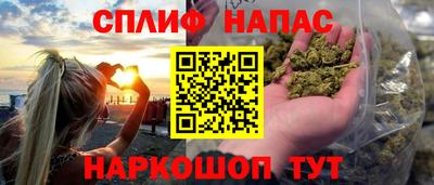 мяу мяу мука Ачхой-Мартан