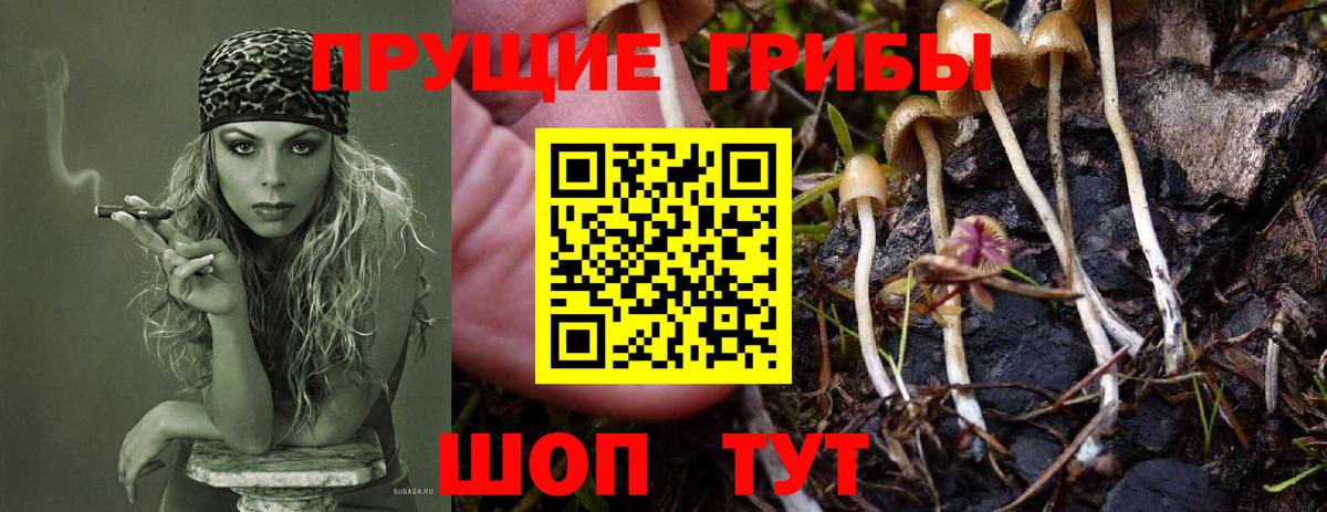 продажа наркотиков  Вход с VPN  Калач-на-Дону  Галлюциногенные грибы GOLDEN TEACHER 